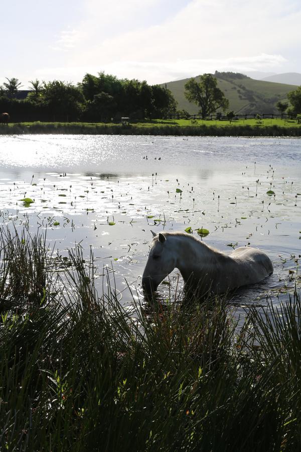 Hakuna Matata Game Farm Great Brak River ภายนอก รูปภาพ