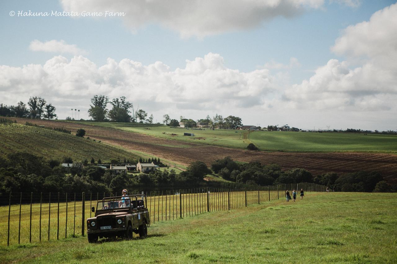 Hakuna Matata Game Farm Great Brak River ภายนอก รูปภาพ