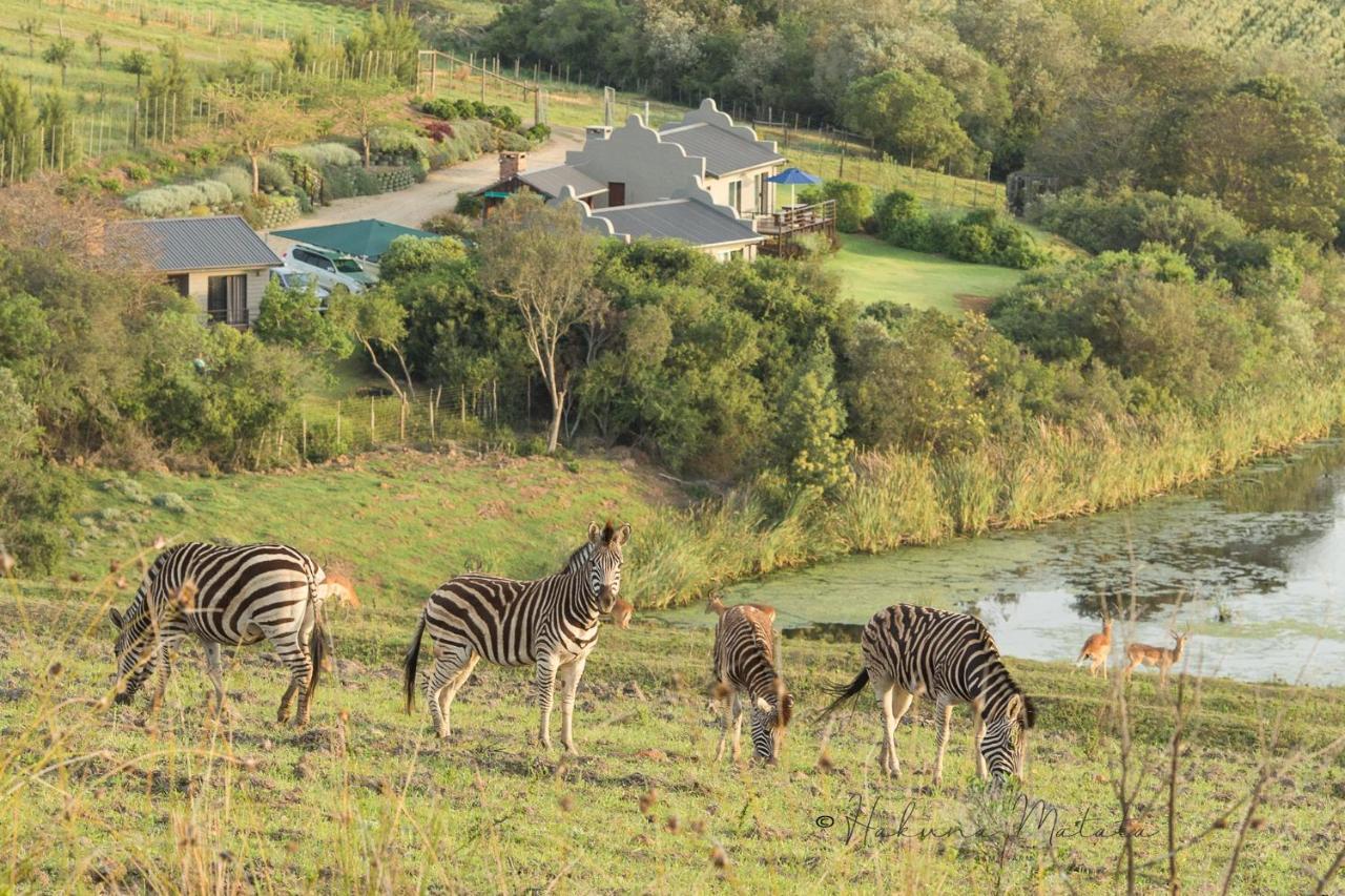 Hakuna Matata Game Farm Great Brak River ภายนอก รูปภาพ